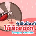Dengue-vaccine