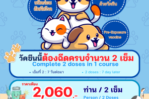 รพ. ซาน เปาโล หัวหิน โปรโมชั่น วัคซีนป้องกันพิษสุนัขบ้า